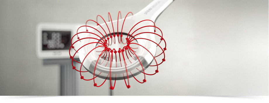 Naturheilpraxis Schoellhammer Pforzheim