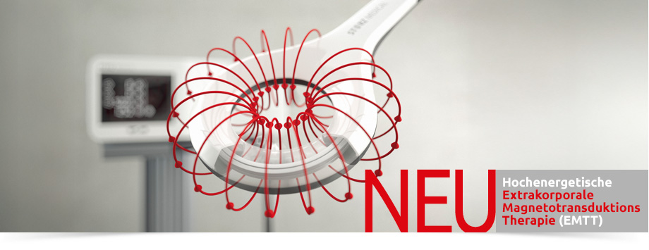 Naturheilpraxis Schoellhammer Pforzheim